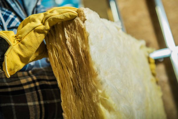 Types of Insulation We Offer in Jeanerette, LA