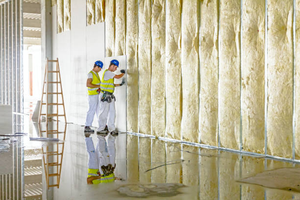 Best Eco-Friendly Insulation in Jeanerette, LA